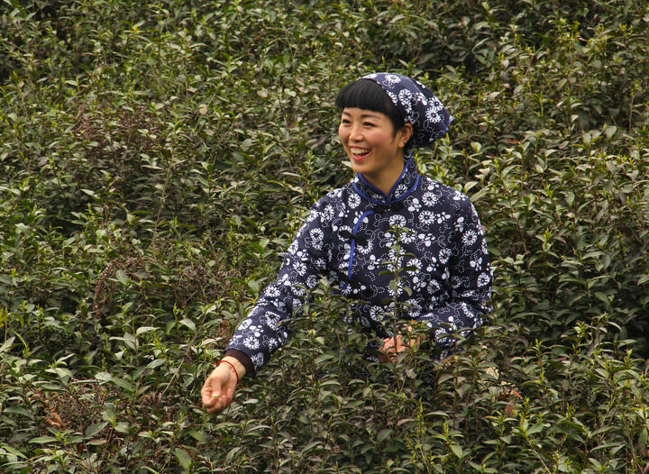 热门短剧8